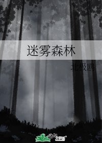 迷雾森林