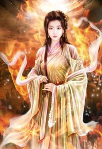 赘婿：开局圣女未婚妻